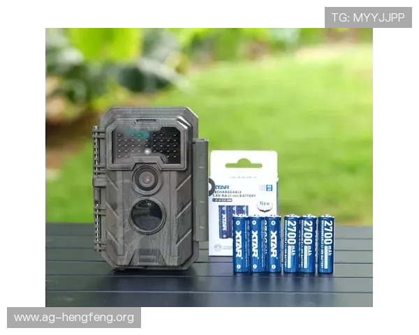 提升bb视讯维护效率的实用技巧与最佳实践分享