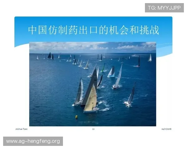问鼎线上登陆的安全性挑战及应对措施探讨
